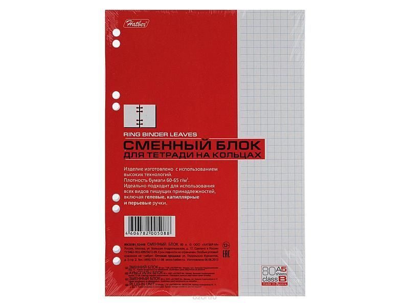 Блок а5. Сменный блок а4, 80л., Хатбер. Тетрадь на кольцах а5, 120л., Hatber. Сменный блок а4 80л Hatber. Сменный блок а5 80л. Хатбер 80сб5в1 02449.